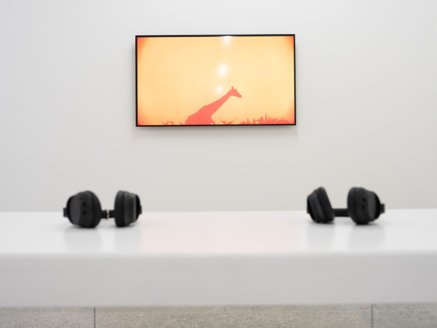 Basim Magdy, Centre d'Art Contemporain Yverdon-les-Bains (CACY), 2025. Photo credit: Anne-Laure Lechat