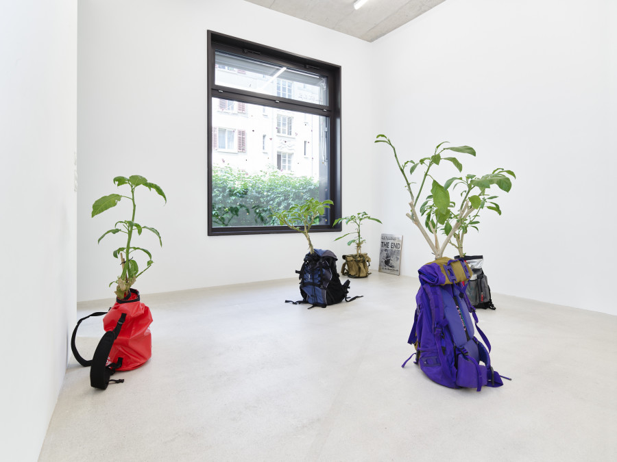 Installation view, Jasmin Werner, Apparat Kleptokrat, Damien & The Love Guru, Zürich, 2025. Courtesy of the artist and Damien & The Love Guru, Brussels/Zurich. Photography : Felix Jungo