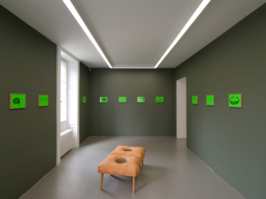 Exhibition view, Flo Kasearu, Pelouse Interdite / Do Not Step on the Grass, Villa du Parc, Annemasse, 2026. Photo credit: Aurélien Mole. © ADAGP