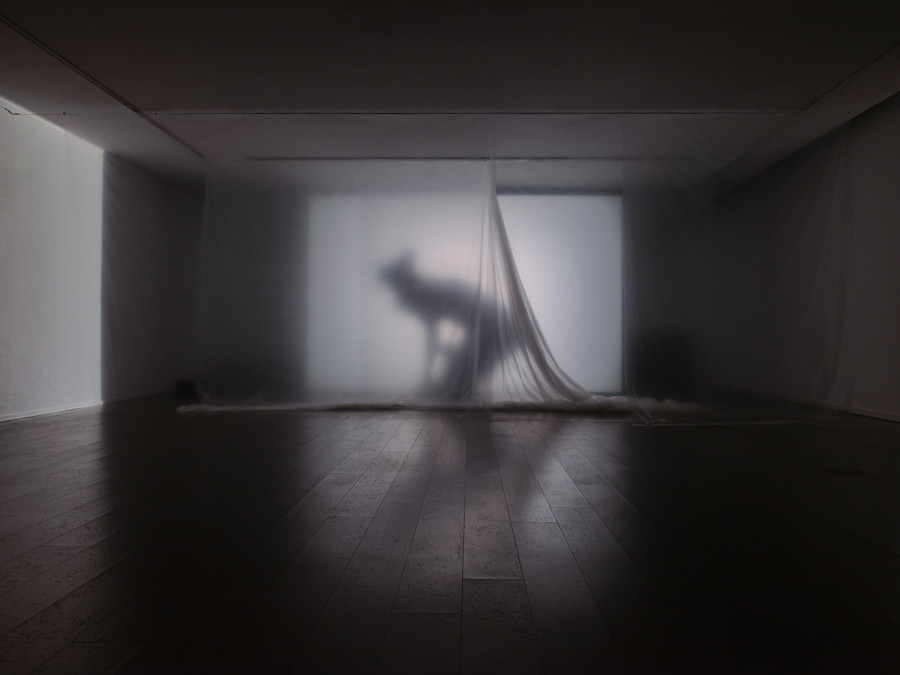 Exhibition View, ‘Stitches: A Haunted House and Other Ghost Stories’ at the Villa Bernasconi, 2026 / Photo by Nicolas Delaroche Studio. Sandar Tun Tun, Light.wav, 2026, audiovisual installation, 18’ (loop), 4.1 multichannel sound, projection, plastic, scent. With the participation/contribution of Elie Autin, Meryam Benbachir, Deborah E. Macauley