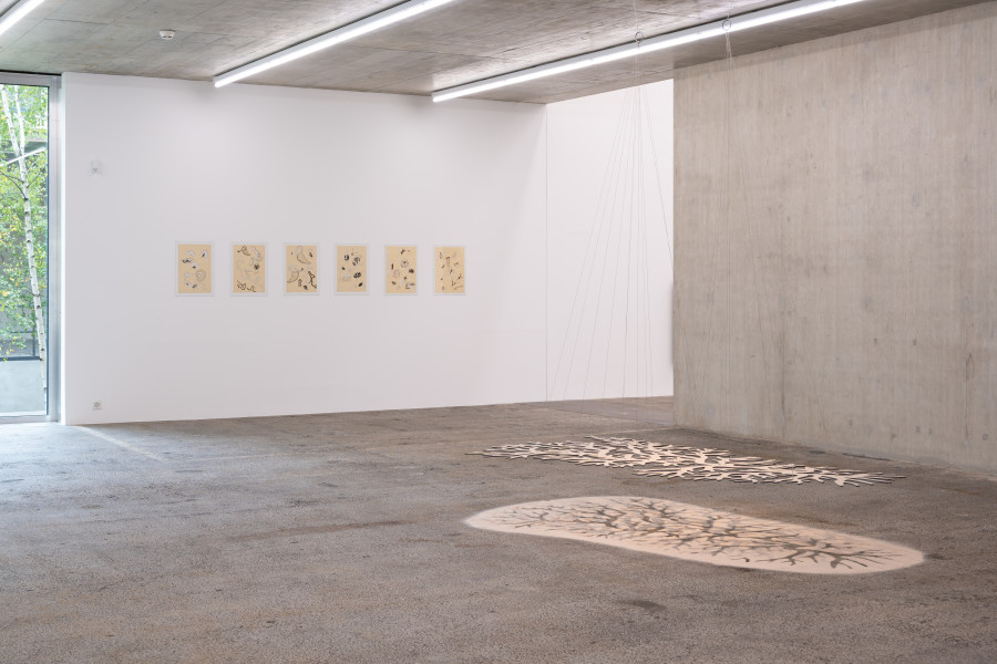 Eva Lootz, Serie 'Basilea', 1988.Cuenca suspendida II, 2009. Courtesy the artist. Ausstellungsansicht / Installation view Kunsthaus Baselland 2025. Foto / Photo: Finn Curry