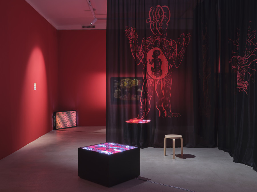 Installation view Poulomi Basu – Phantasmagoria © Fotomuseum Winterthur / Conradin Frei