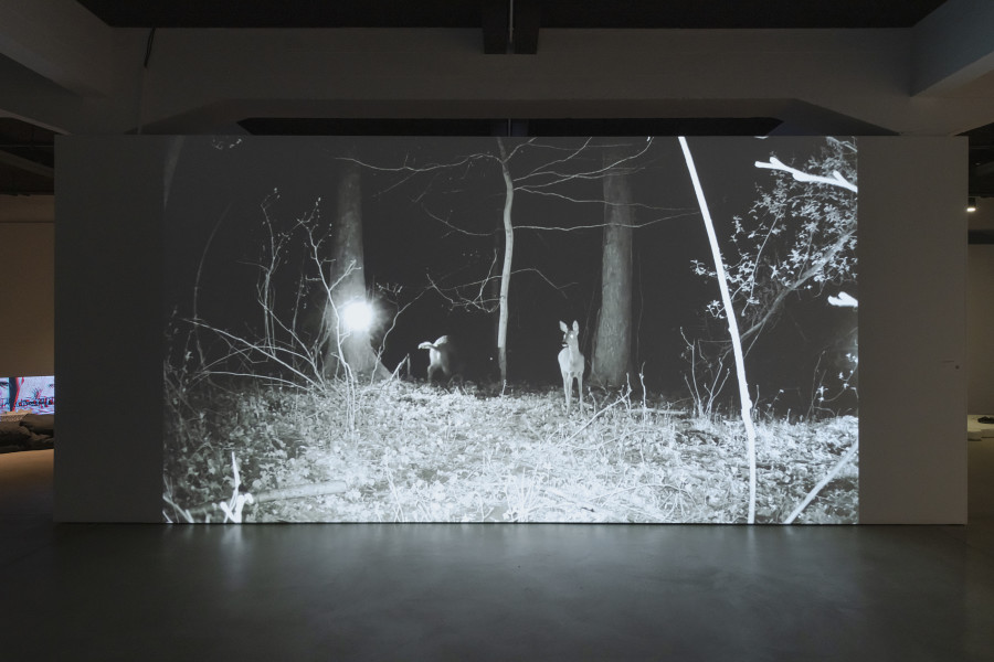 Anne Zimmermann, Pleins phares, 2024, «Regionale 25», 2024, HEK, photo: Franz Wamhof