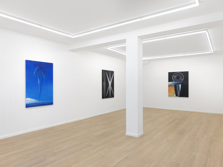 Mathis Gasser: Per Monstra Ad Sphaeram, 2025. Photo : Annik Wetter, Courtesy the artist and Galerie Sébastien Bertrand
