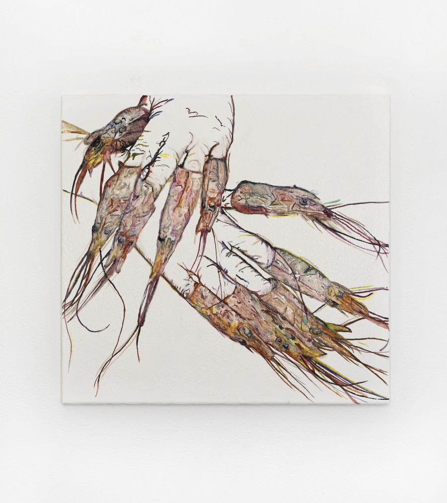 Gregory Sugnaux - Shrimp Nails, 2021. 2022 courtesy the artists and suns.works. Photography: Claude Barrault
