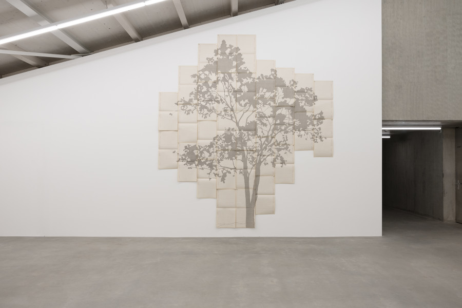 Johanna Calle: Perímetros (Guayacán), 2023. Courtesy of the artist and Galerie Krinzinger, Wien. Ausstellungsansicht / Installation view Kunsthaus Baselland 2025. Foto / Photo: Gina Folly