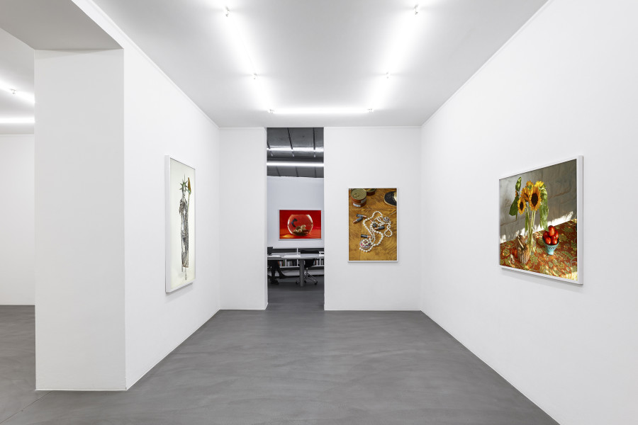 Exhibition view, Roe Ethridge, Sensible Shoes at Mai 36 Galerie, Zurich. Photo Credits: Peter Baracchi. Courtesy of the artist and Mai 36 Galerie