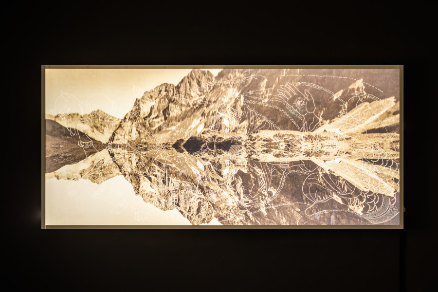 Leila Peacock, As Above So Below - Then..., 2023, Plexiglass LED lightbox drawing scratched into Duraclear prints, 225 x 105 cm. Photo: Kilian Bannwart