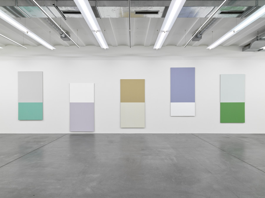 Kapwani Kiwanga, Linear Paintings, 2017-2021 Ausstellungsansicht | Exhibition view, Museum Haus Konstruktiv, 2022 Farbe auf Trockenbauwand | Paint on drywall sheet je I each 250 x 125 cm Foto I Photo: Stefan Altenburger