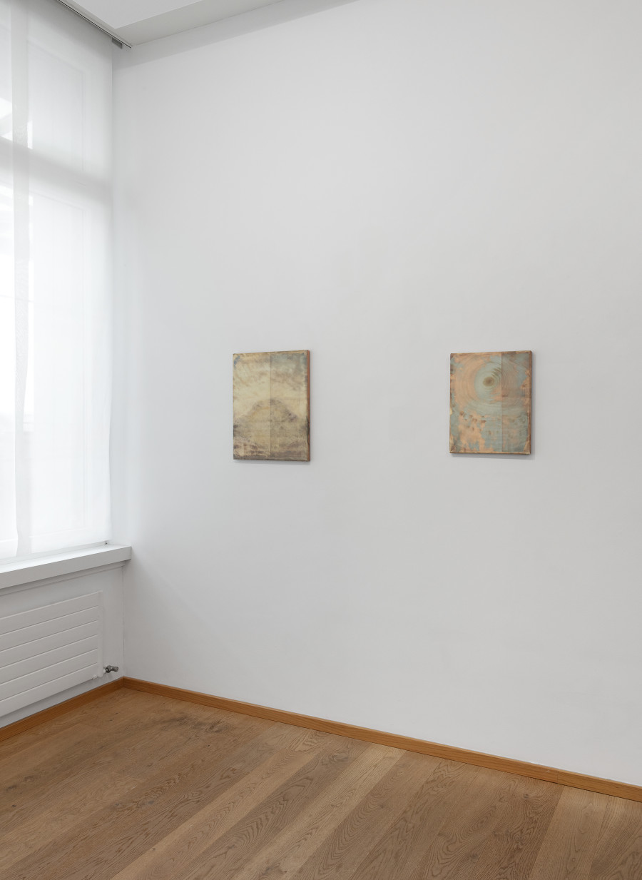 Installation view, Olaf Holzapfel and Michael Sailstofer, Speaking through substance, Livie Gallery, 2025. Photo credit: Esther Mathis