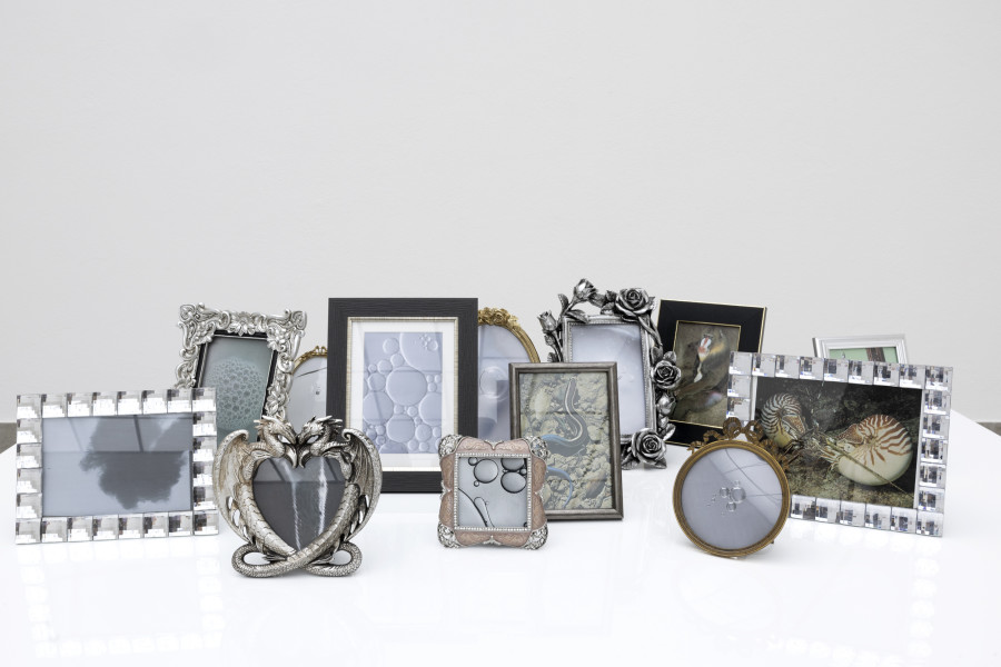 Hélène Fauquet, life-world, Detail / detail, 2023. Hélène Fauquet, Phenomena, Ausstellungsansicht / installation view, Kunsthaus Glarus, 2023. Foto / Photo: Gina Folly