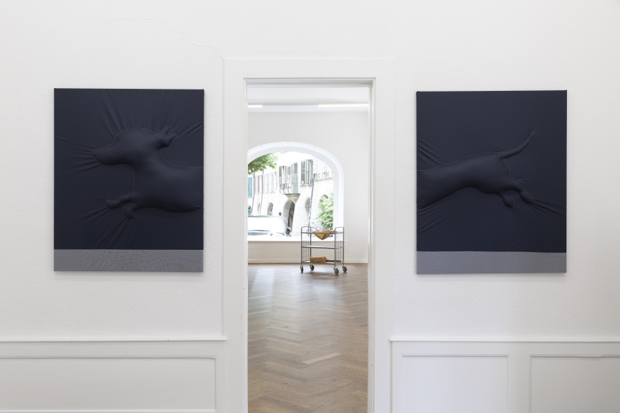 Installation view, ENTRE NOUS, Laura Veenemans, KRONE COURONNE, 2025. Photo credit: Michal Schorro