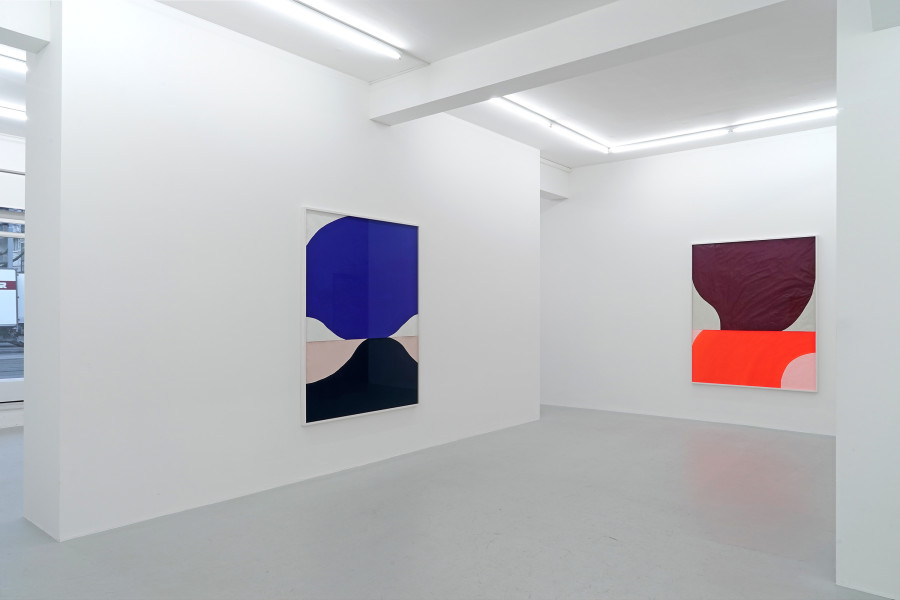 Exhibition view, Mirjam Blanka Inauen, A Beautiful Blue Substance Flows Into Me, Lullin + Ferrari, 2023.