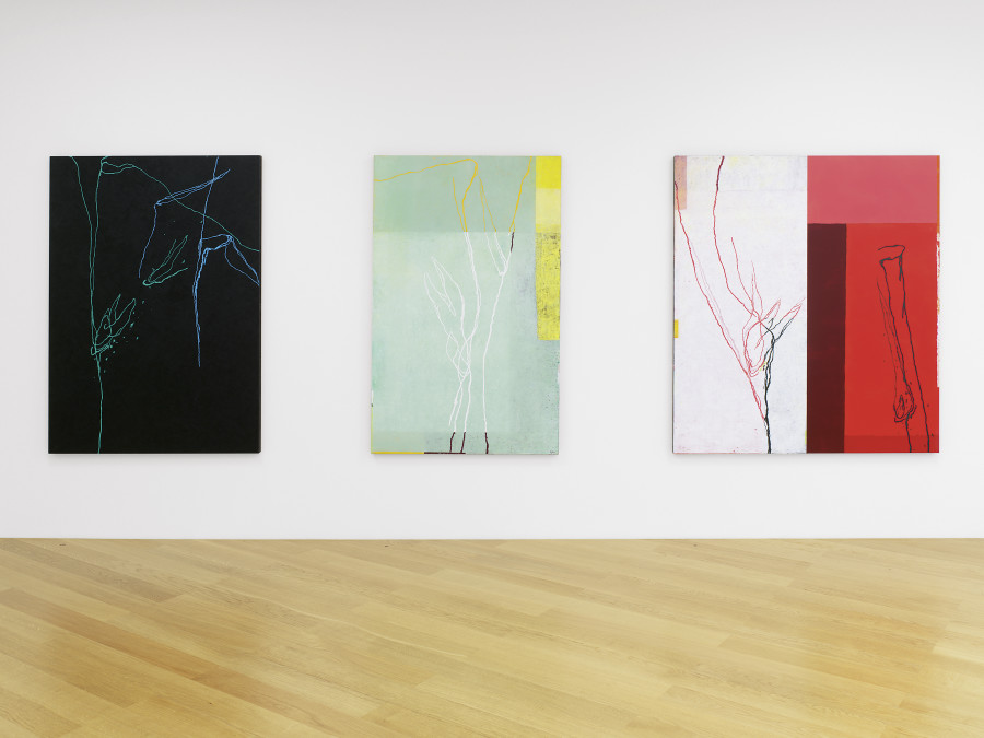 Exhibition view, Paco Knöller: Beneath Me, the Sky. With works from the Hilti Art Foundation, Kunstmuseum Liechtenstein with Hilti Art Foundation, 07.05.–15.10.2023, Photo: Günter König.
