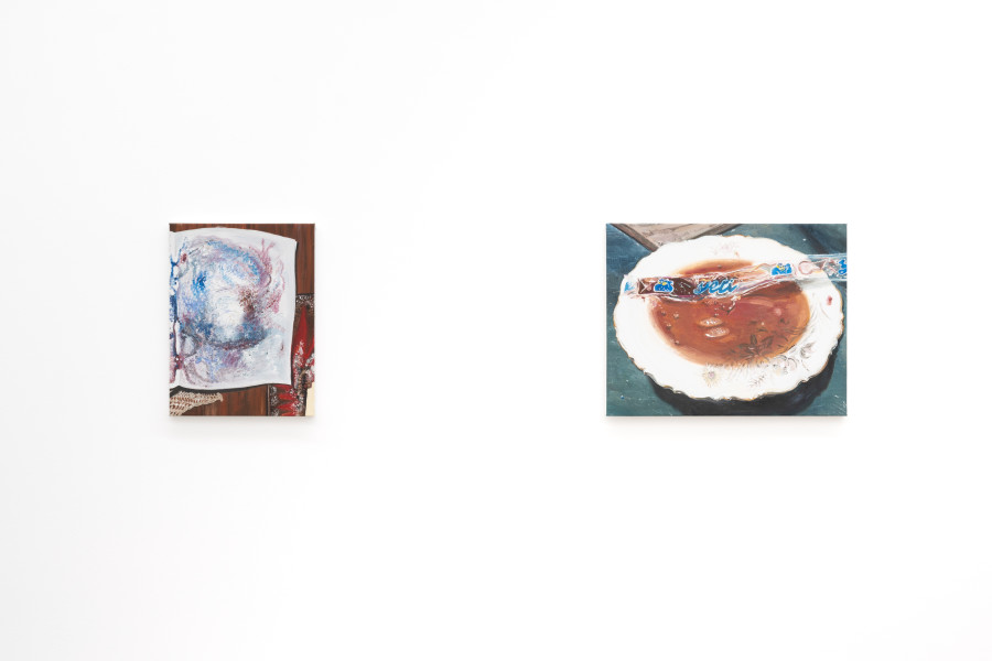 Mireille Blanc, Paillettes, 2022; Yeti, 2024. Courtesy of the artist and Galerie Anne-Sarah Bénichou. Installation view Kunsthaus Baselland 2026. © 2026, ProLitteris, Zurich. Photo: Finn Curry / Kunsthaus Baselland