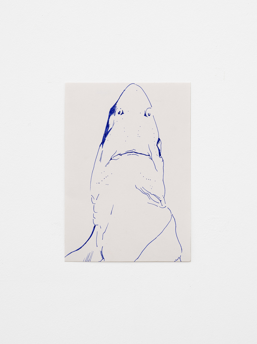 Anna Zacharoff, dogfish, 21 × 14.8 cm, Pencil on paper, 2023 / Photo: Cedric Mussano / Courtesy: The artist and Kirchgasse Gallery, Steckborn