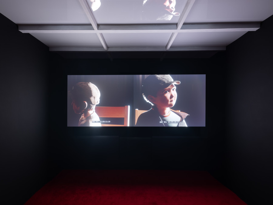 Exhibition view, Dummies, Paul Fritz, SALTS, 2025.