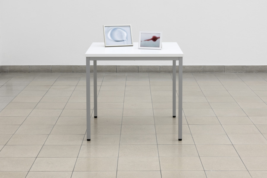 Hélène Fauquet, Flash of the Blade, 2023. Hélène Fauquet, Phenomena, Ausstellungsansicht / installation view, Kunsthaus Glarus, 2023. Foto / Photo: Gina Folly