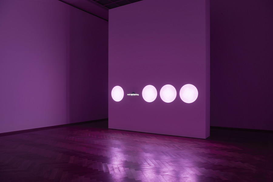 P. Staff, In Ekstase, 2023, installation view, in: P. Staff, In Ekstase, Kunsthalle Basel, 2023, photo: Philipp Hänger / Kunsthalle Basel