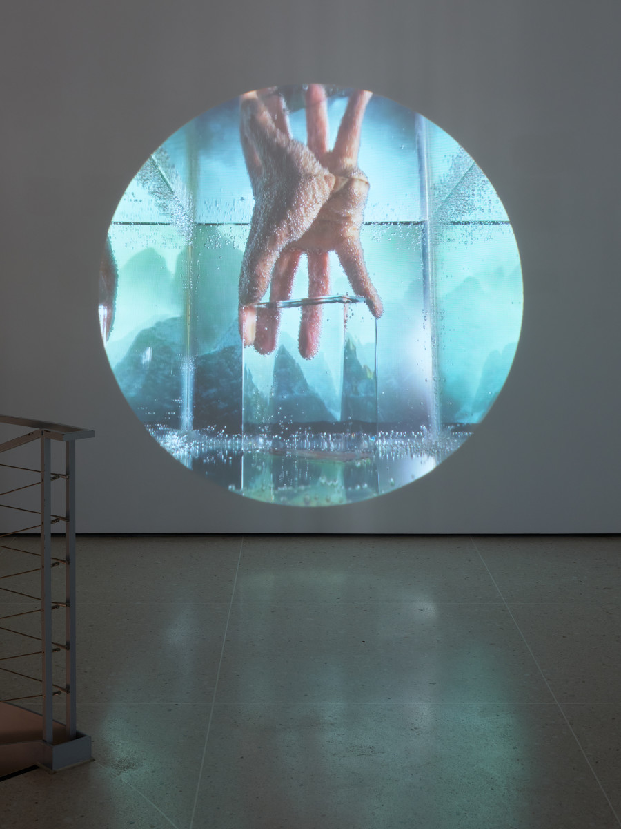 Ausstellungsansicht Eintauchen! Judith Albert, Territorium, 2021. Foto: Ernst Kehrli. © 2025, ProLitteris, Zurich, Kunsthaus Zug