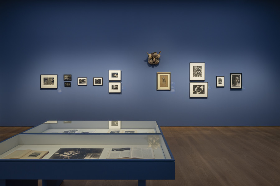 Views of the exhibition Thalassa ! Thalassa ! Imaginery of the sea, Musée cantonal des Beaux-Arts, Lausanne. Photo : MCBA /Jonas Hänggi
