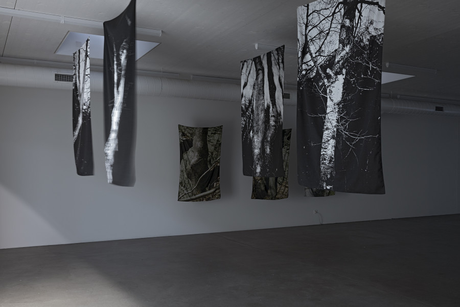 Georg Gatsas, Alberi I–VIII, 2024. Courtesy the artist. Ausstellungsansicht Kunsthaus Baselland 2025. Foto: Gina Folly