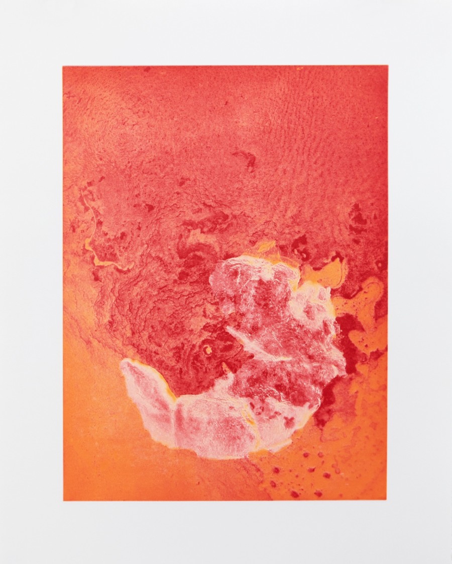Vanessa Billy, Interwoven Existences, The Poetry of Nature, BELETAGE Art Space, 2025. Photo credit: Bernhard Strauss. Courtesy Edition VFO