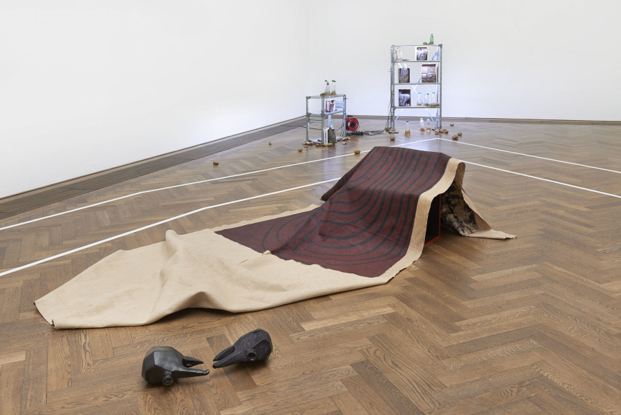 Installation view, Situation 1 und andere, Kunsthalle Basel, 2020, view on Anna Diehl, We Fight, 2015 (front), Mein kleiner Garten, 2020 (middle), Cyril Tyrone Hübscher, SHTF-scenario, 2020 (back). Photo: Philipp Hänger / Kunsthalle Basel