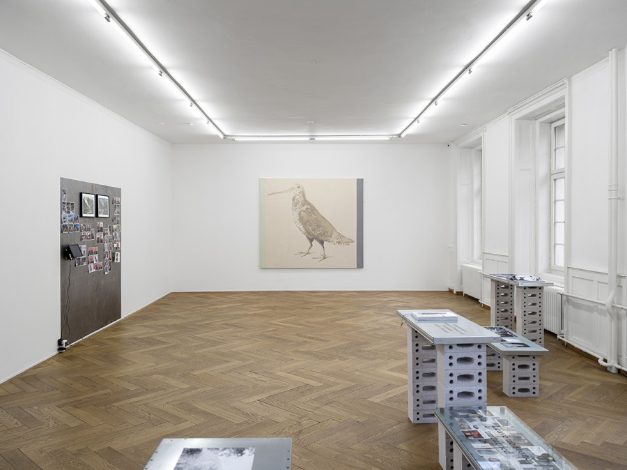 Samira Gollin, Jürg Stauffer, Kotscha Reist, Cantonale Berne Jura 2023, Ausstellungsansicht Kunsthaus Langenthal, Foto: Cedric Mussano