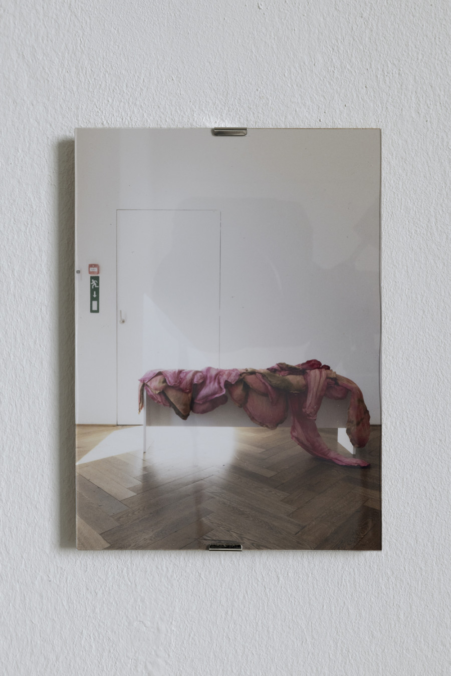 Lea Rüegg, Cherrystone Archive, 2022. Installation view, Kunstkredit Basel-Stadt 2022, Cat’s Cradle, Kunsthalle Basel. Photo: Gina Folly / Kunstkredit Basel-Stadt