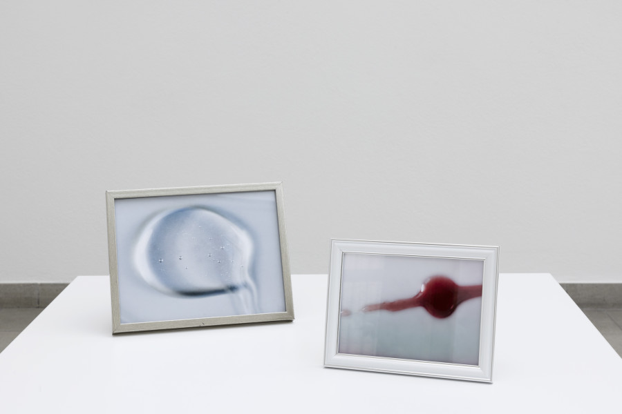 Hélène Fauquet, Flash of the Blade, Detail / detail, 2023. Hélène Fauquet, Phenomena, Ausstellungsansicht / installation view, Kunsthaus Glarus, 2023. Foto / Photo: Gina Folly