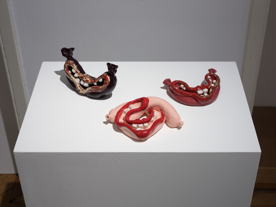 Exhibition view, Not My Circus, Not My Monkeys, Kunstmuseum Thun, 2023. Photo credit: David Aebi