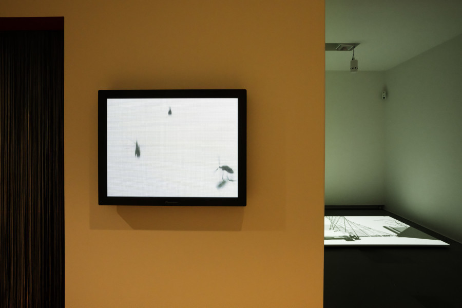 Ausstellungsansicht «Born Digital. Videokunst im neuen Millennium», Juni 2024, Kunsthaus Zürich, Foto © Franca Candrian, Kunsthaus Zürich Lukas Bardill, Gabriela Gerber, Forum, 2000. Kunsthaus Zürich, 2004, © 2024, ProLitteris, Zürich