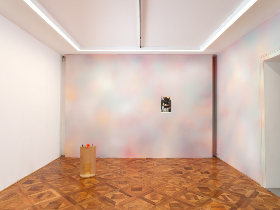 Hippolyte Hentgen, Nuée, 2025, installation de collages sur peinture murale acrylique, vue de l’exposition « Chambre à deux lits » à la Villa du Parc - centre d’art contemporain - Aurélien Mole, 2025