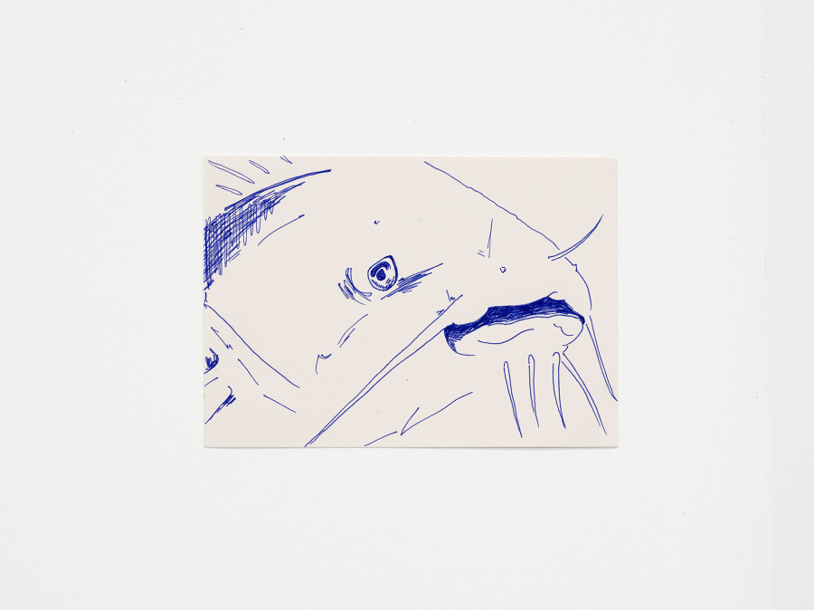 Anna Zacharoff, catfish, Pencil on paper, 14.8 × 21 cm, 2023 / Photo: Cedric Mussano / Courtesy: The artist and Kirchgasse Gallery, Steckborn