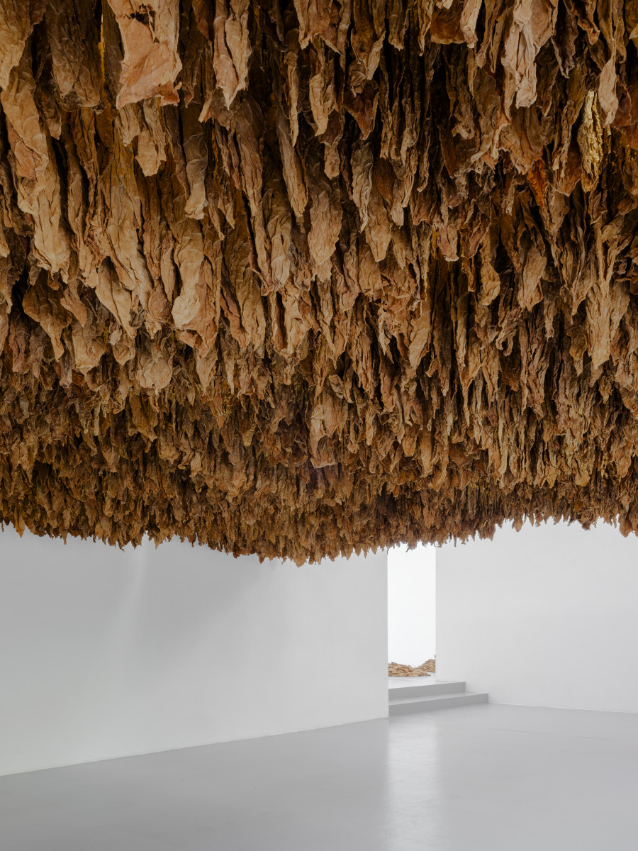 Ximena Garrido-Lecca, Reverse Engineering, Installation view, 2023, CAN Centre d’Art Neuchâtel.
Photo credit: Sebastian Verdon