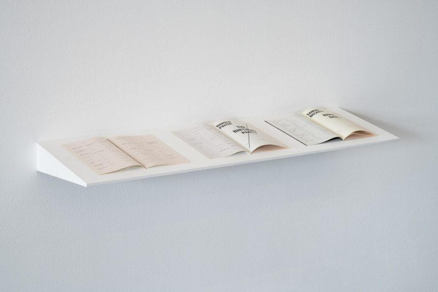 Alexandra Bachzetsis, Secret Instructions, 2005. Photo: Kunst Halle Sankt Gallen, E. Sommer. Courtesy: the artist. Courtesy: Experimenter, Karma International, kurimanzutto, Meyer Riegger.