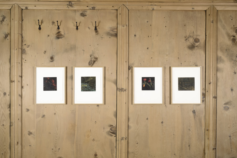 Balthasar Burkhard, Nature morte, 2010, iogravüre, Mappe mit 9 verschieden Motiven, 33.2 x 25.3 cm (unframed), 15/37 +XXIII. Photo: Ralph Feier, Courtesy of the artist and Galerie Tschudi