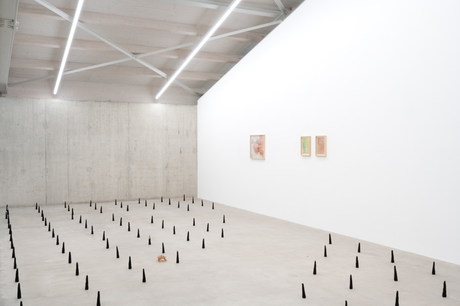 Leonardo Bürgi Tenorio, palimpsest 2025; curtain, 2025; the bright blazing of the ever occuring fire, 2025; pirámides del olvido, 2025. Ausstellungsansicht / Installation view Kunsthaus Baselland 2025. Courtesy of the artist. Foto / Photo: Finn Curry
