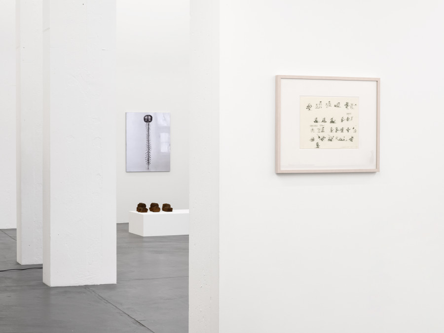 Installation view, Dietrich, curated by Anne Pontégnie, Galerie Francesca Pia, Zurich, 2024. Photo: Cedric Mussano