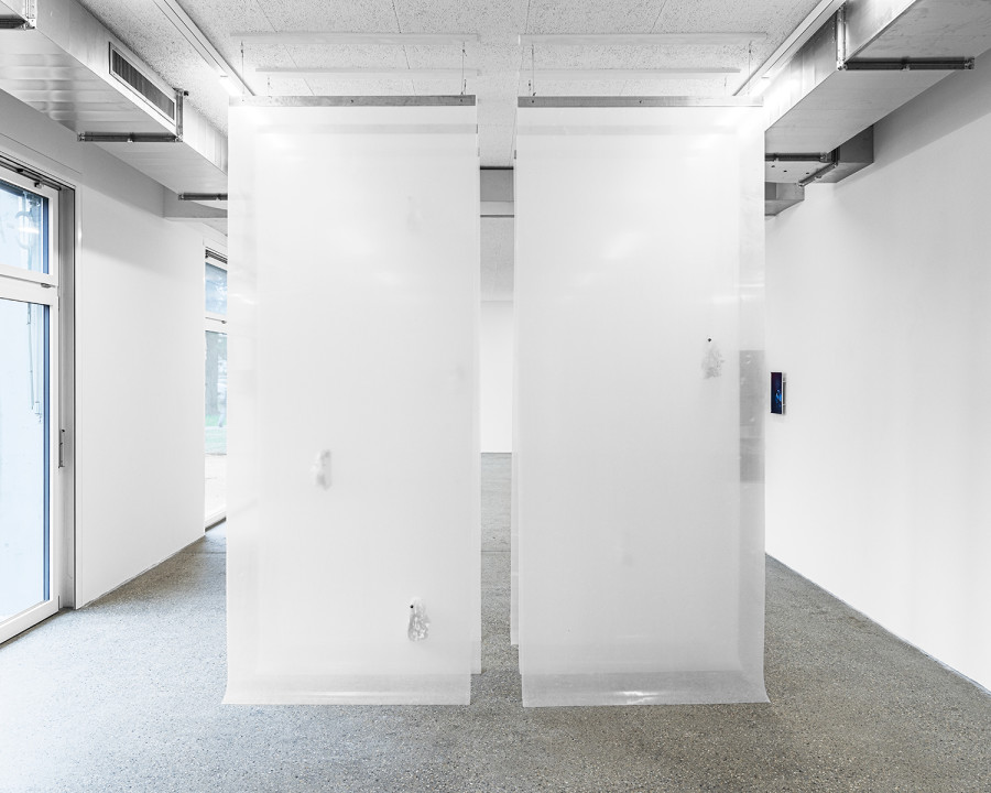 Exhibition view « Version Cue », Niels Trannois, I will give you a name... (dyslexie à escient), 2025, 300x260x90 cm, silicone, cables, thermoformed PET, feathers, adhesive prints, silicone glue, CALM – Centre d’Art La Meute, Lausanne, Switzerland, 2025 / Photo: Théo Dufloo / Courtesy of the artist.