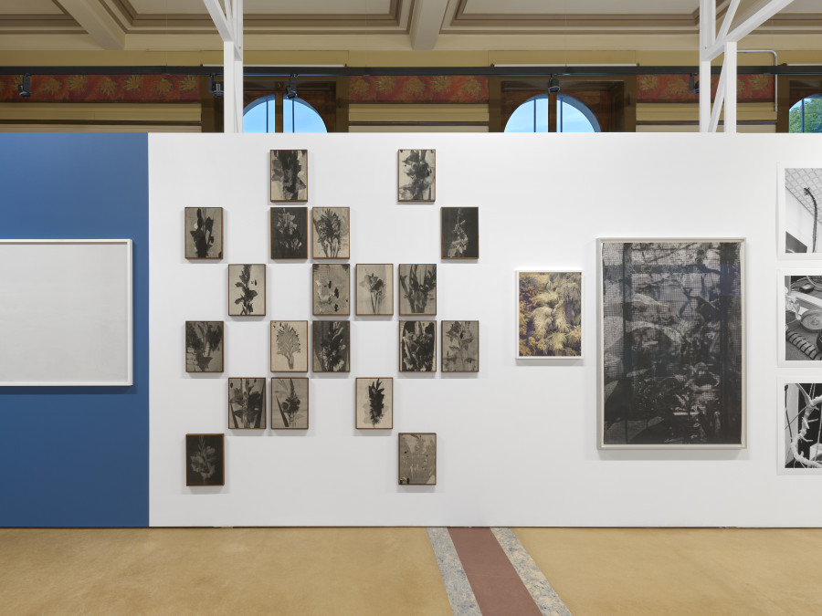 Installation view, Bruissements végétaux, Centre de la photographie Genève, 2025. Photo credit: Annnik Wetter