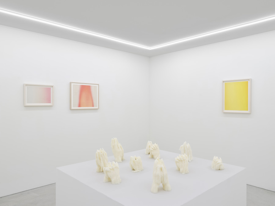 Installation view, Keem Jiyoung, Breath of the Month, Galerie Philippzollinger, 2024.