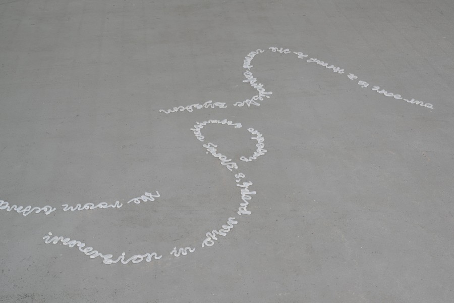 Cheyenne Oswald, Ode to the pace of slugs – Variation 2, 2021, Courtesy the artist. Installation view Kunsthaus Baselland 2022. Photo: Finn Curry