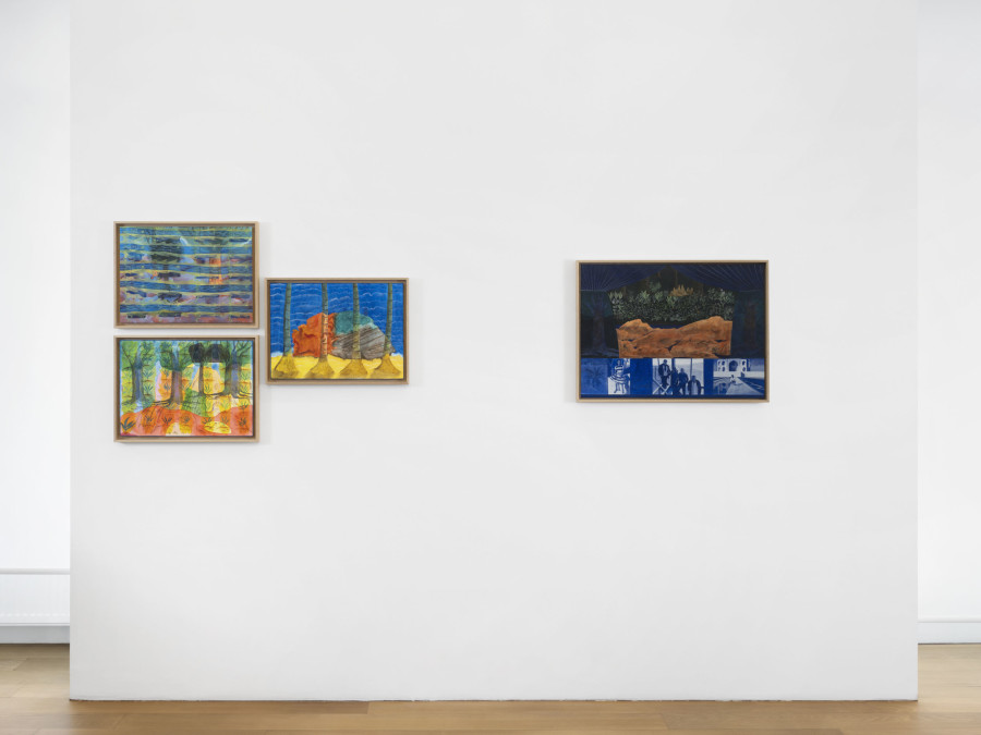 Exhibition view, Karishma D'Souza, Can’t See the Forest, xippas, 2023. Photo credit: Julien Gremaud