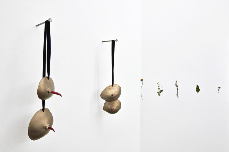 Installation view, Cuore Mangiato, Guscio di Fiore, Fattucchiere, Kulturfolger, 2023-2024. Photo: Anna Maysuk