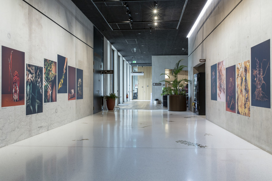 Installation view, Ann Shelton, I am an old phenomenon, Centre de la photographie Genève, 2025. Photo credit: Aline Bovard Rudaz