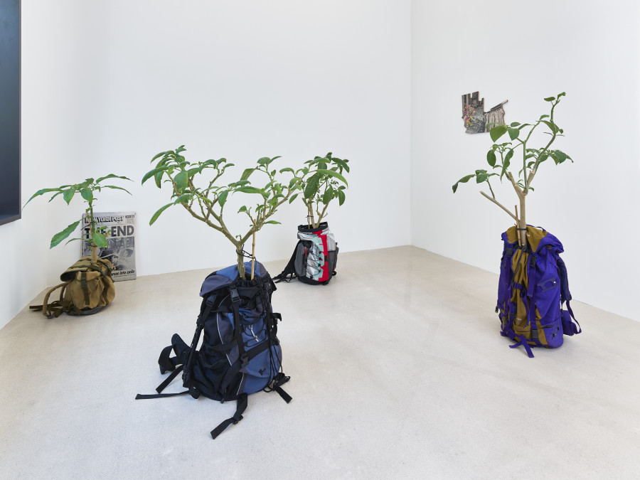 Installation view, Jasmin Werner, Apparat Kleptokrat, Damien & The Love Guru, Zürich, 2025. Courtesy of the artist and Damien & The Love Guru, Brussels/Zurich. Photography : Felix Jungo