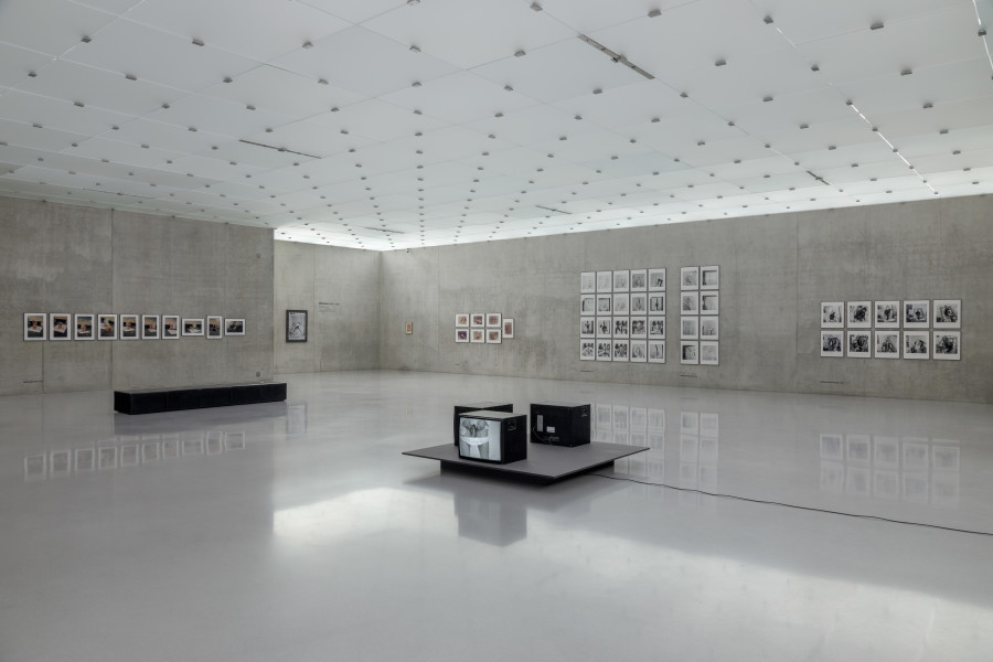 Günter Brus, Exhibition view second floor Kunsthaus Bregenz, 2024. Photo: Markus Tretter. Courtesy of the artist. © Günter Brus, Kunsthaus Bregenz