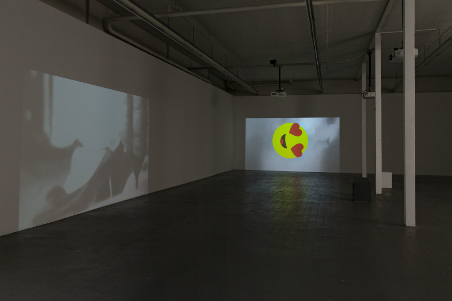 Sharif Waked, Just A Moment No. 4 (Away From You), 2011; Just A Moment No. 17 (Smiley), 2016. Ausstellungsansicht / installation view Kunsthaus Baselland 2020. Foto / Photo: Gina Folly.